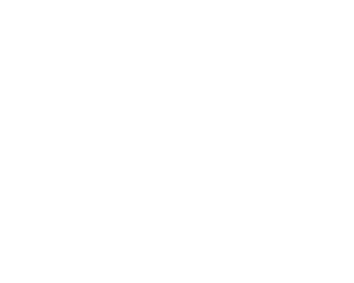 雪铁纳（CERTINA ）