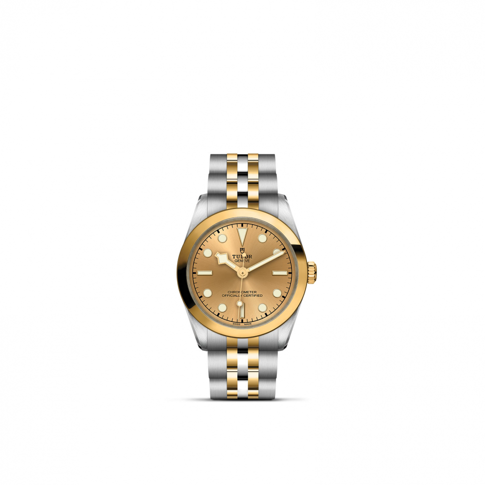 TUDOR Black Bay 31 S G