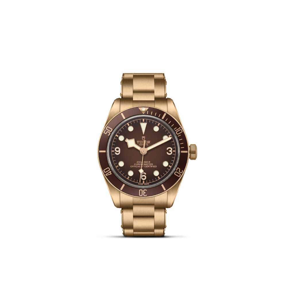 New tudor black bay bronze on sale